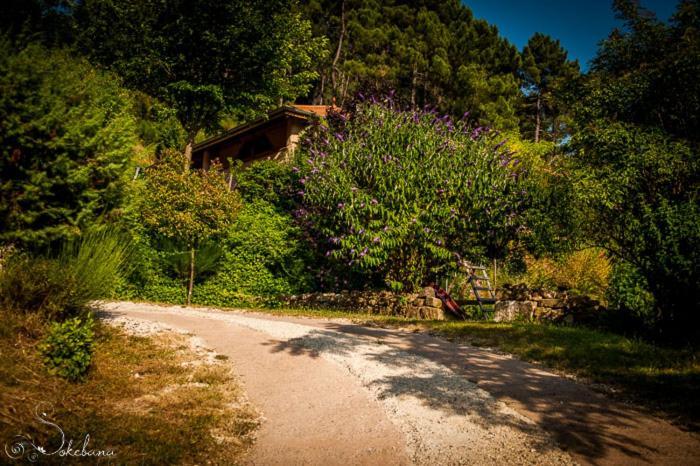 Le Nid Des Anges Villa Saint-André-Lachamp Eksteriør bilde