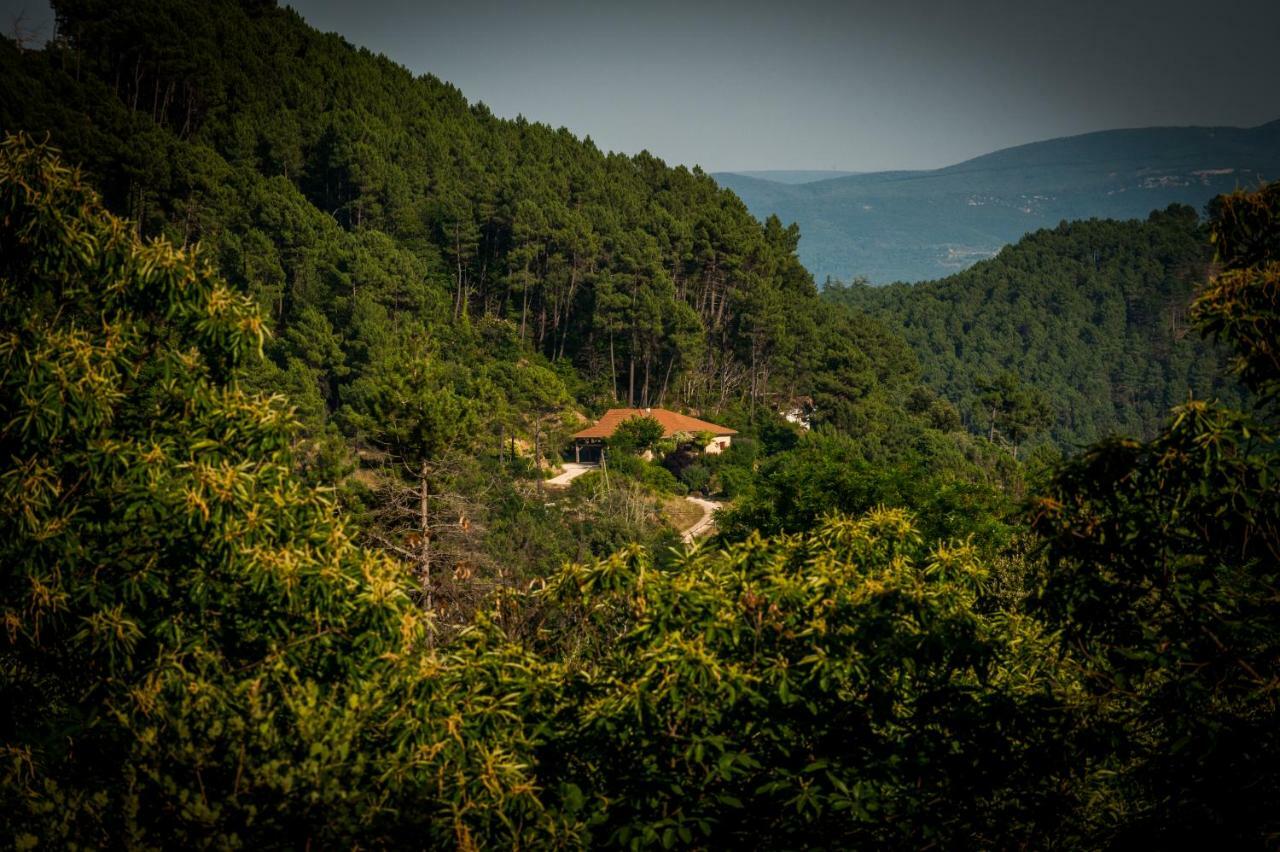 Le Nid Des Anges Villa Saint-André-Lachamp Eksteriør bilde